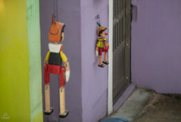 South_Korea (31/70)